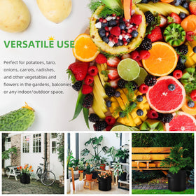 FineGearPow wide application for vegetables and fruits on balcony or garden.