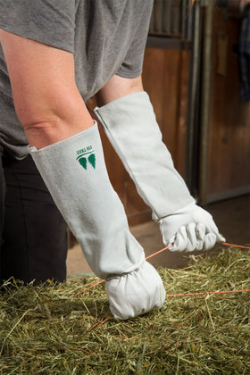 Fir Tree gloves are suitable for pruning roses, holly, berries, and cactus.