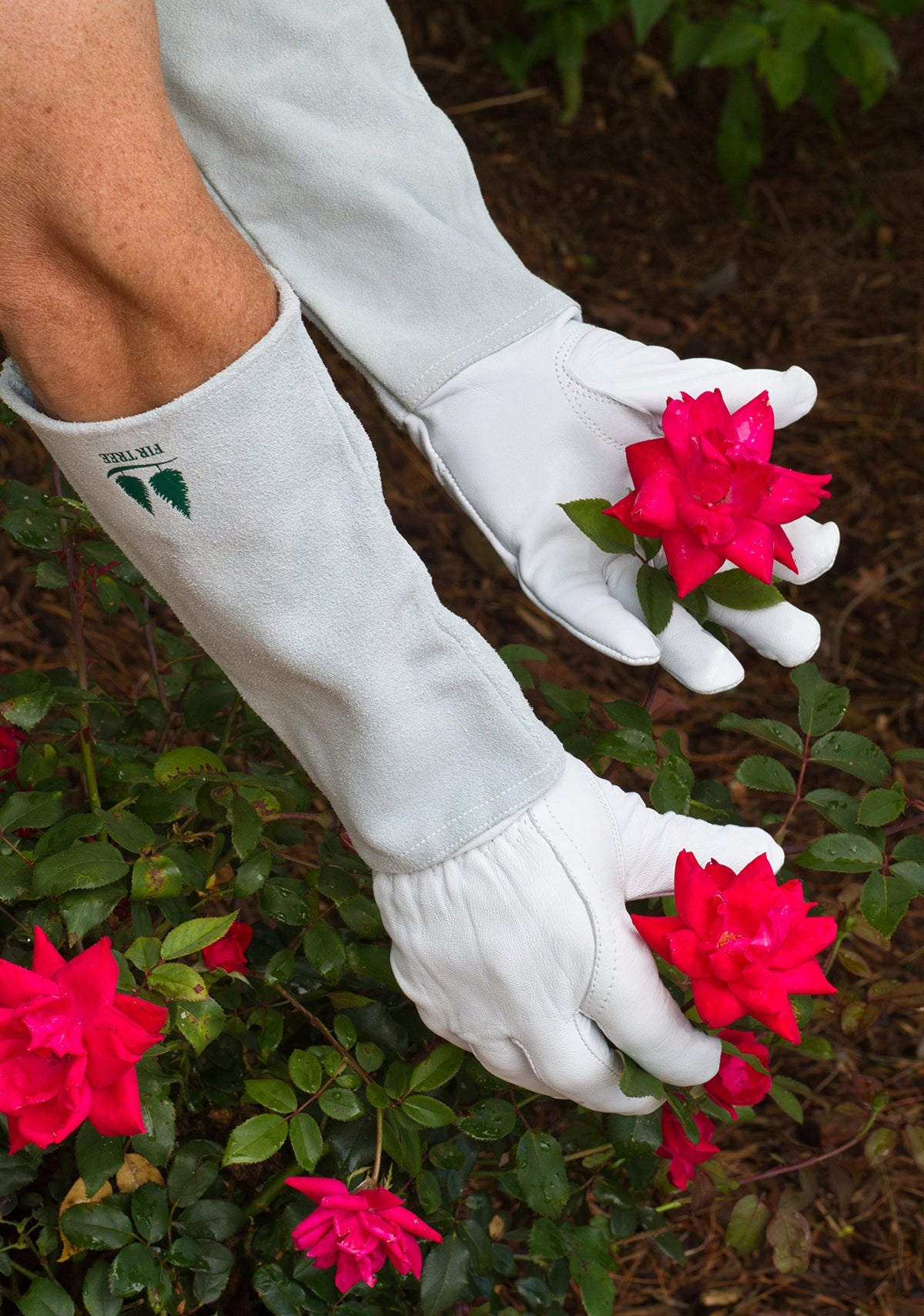 Fir Tree Leather Gardening Gloves feature elbow-length cowhide gauntlet for forearm protection.