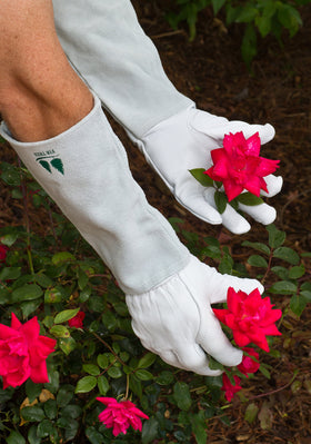 Fir Tree Leather Gardening Gloves feature elbow-length cowhide gauntlet for forearm protection.