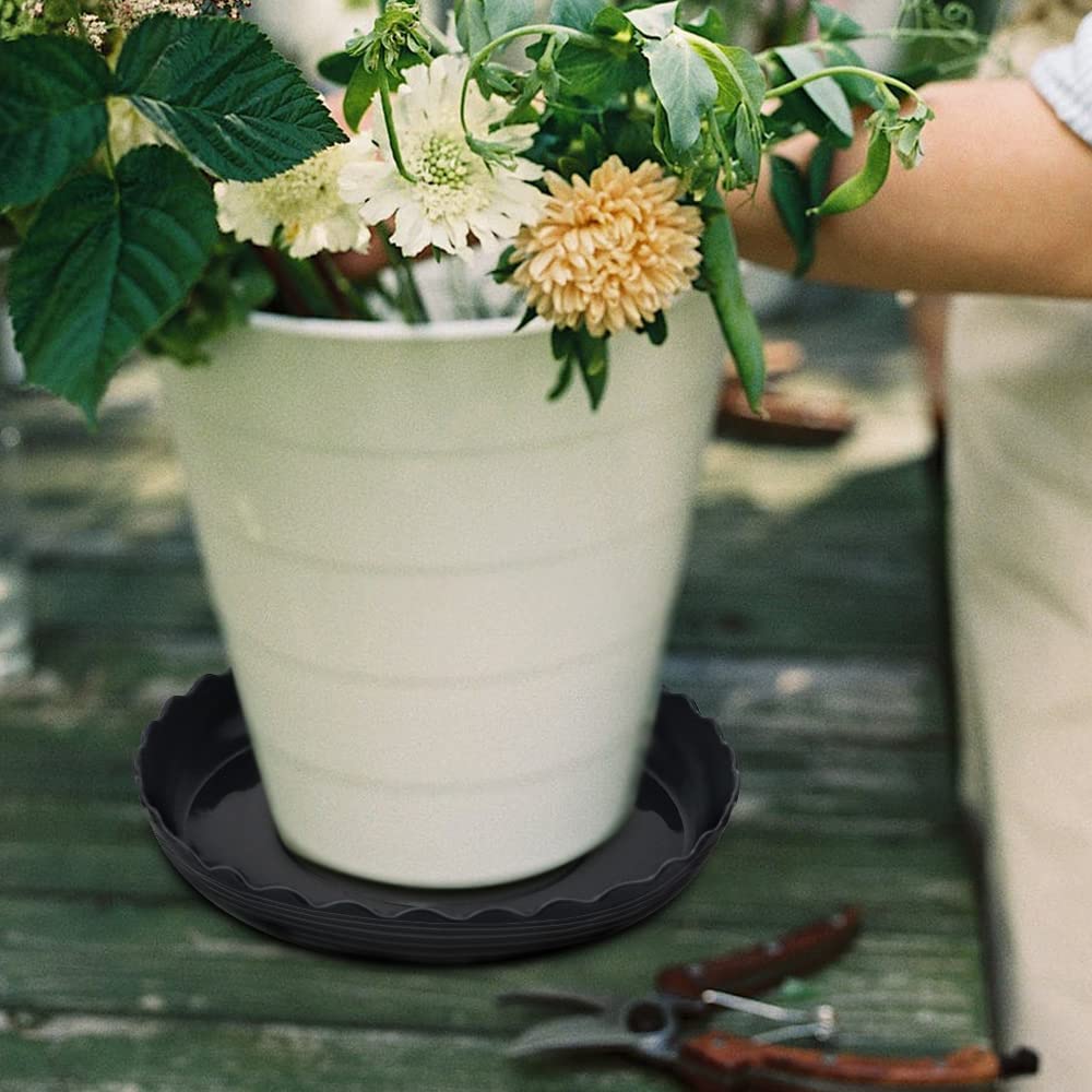 Fireboomoon decorative rock-ready saucer enhances plant presentation.