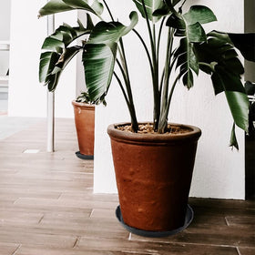Fireboomoon floor-protection saucer shields carpets and floors from moisture.