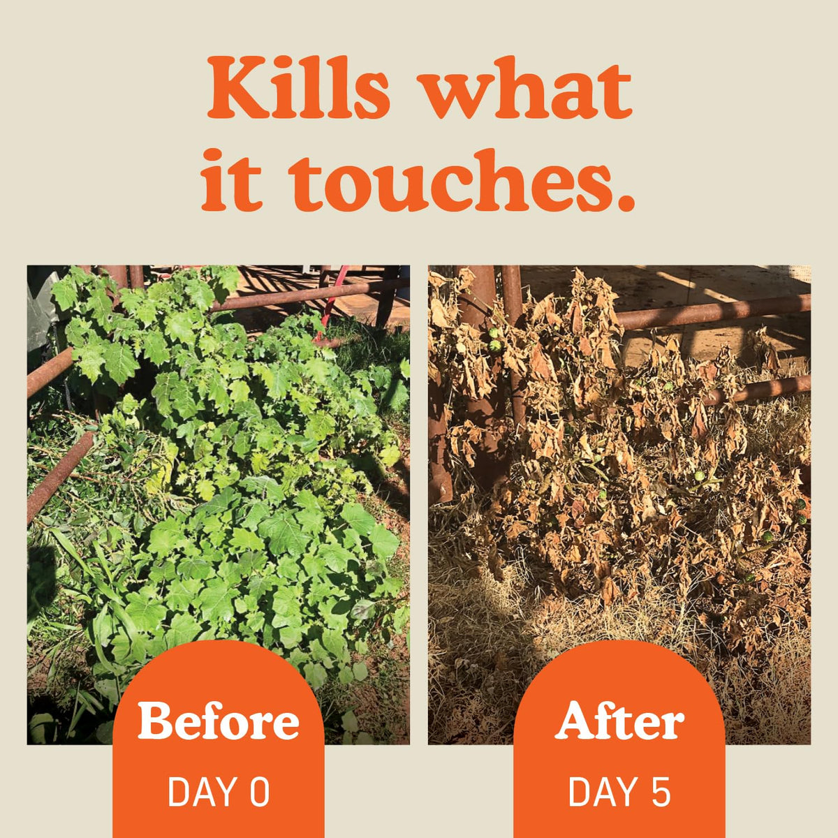 FireHawk spray action demonstrates ready-to-use trigger for spot treatment.