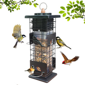 Firmlly squirrel-proof bird feeder with 4 ports supports year-round outdoor feeding.