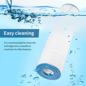 PLF106A cartridge for FC-1226 delivers dependable pool filtration.