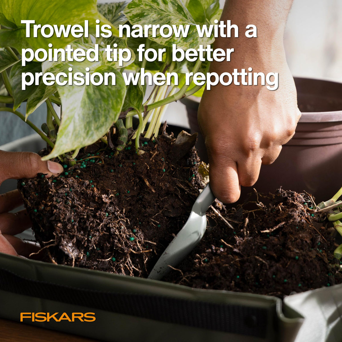 Fiskars soft brush removes dust and soil from leaf crevices gently.