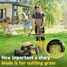 Fismiuta 21-inch two-blade pack ideal for quick replacement.