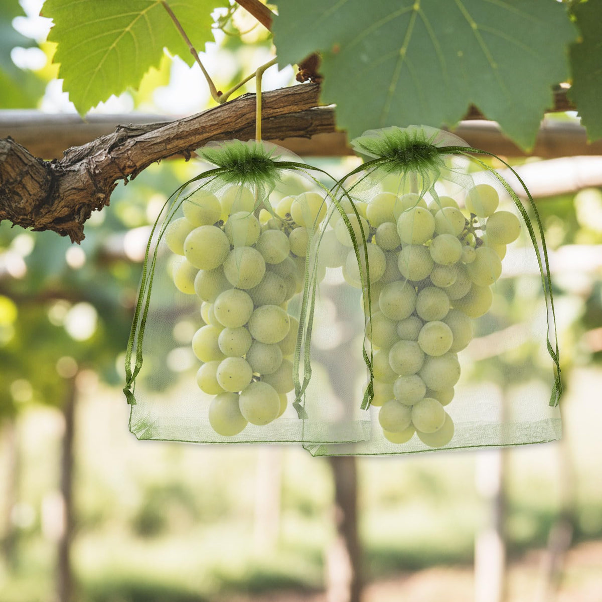 FivaoIm drawstring bags provide easy installation and access to ripeness