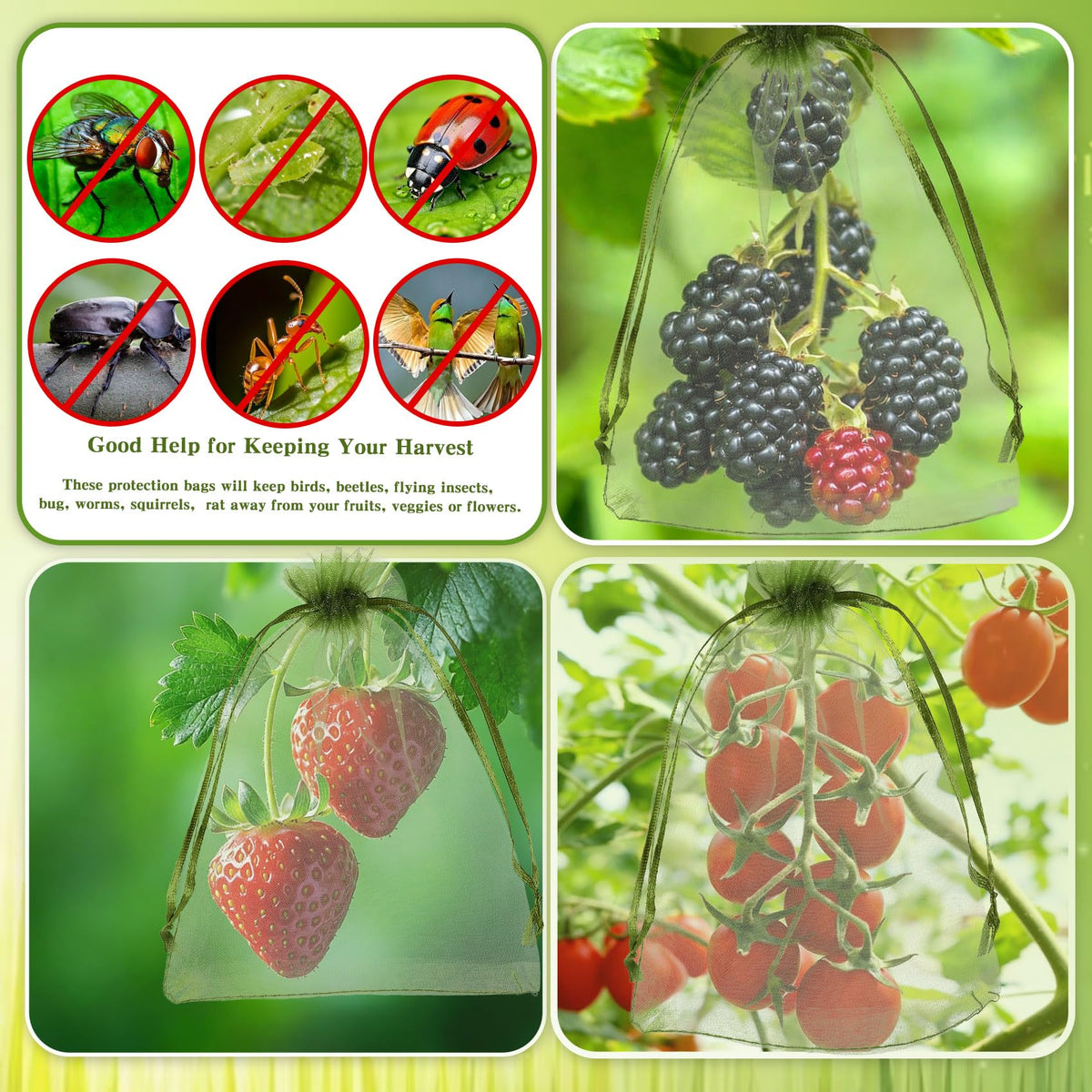 FivaoIm transparent garden bags let you monitor fruit growth
