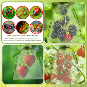 FivaoIm transparent garden bags let you monitor fruit growth