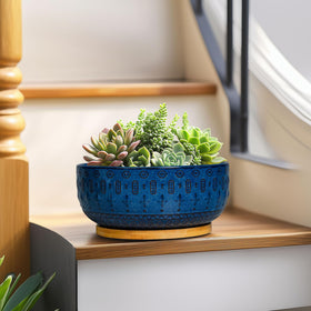 Fivepot 8-inch blue ceramic planter displayed on indoor plant corner.