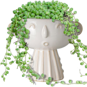 Fivepot face planter 7inch front view for stylish shelf decor and plants.