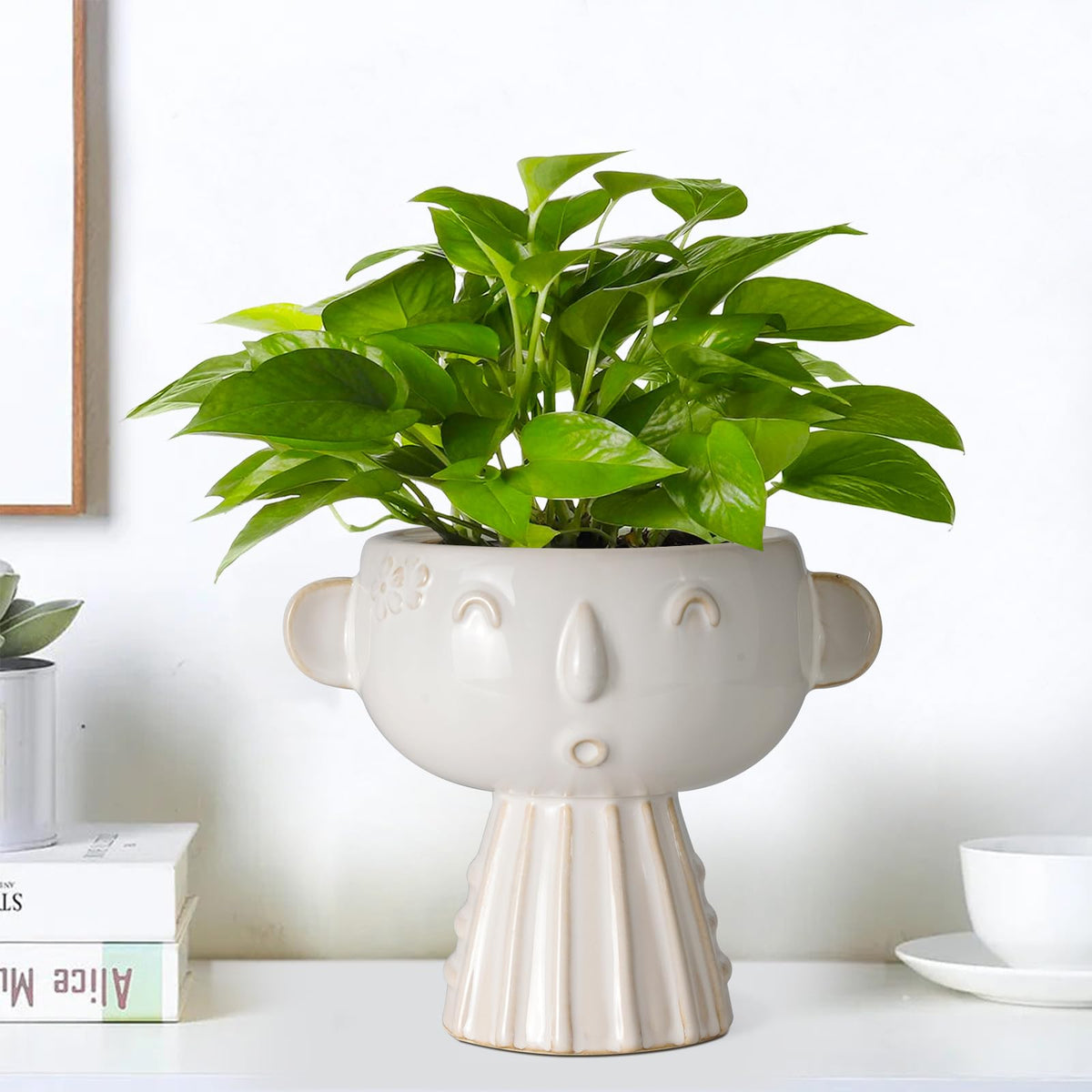 Fivepot face planter dresser shelf display ideal for living room decor.
