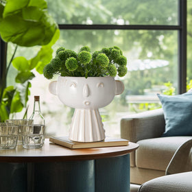 Fivepot face planter indoor outdoor use suitable for balconies and rooms.