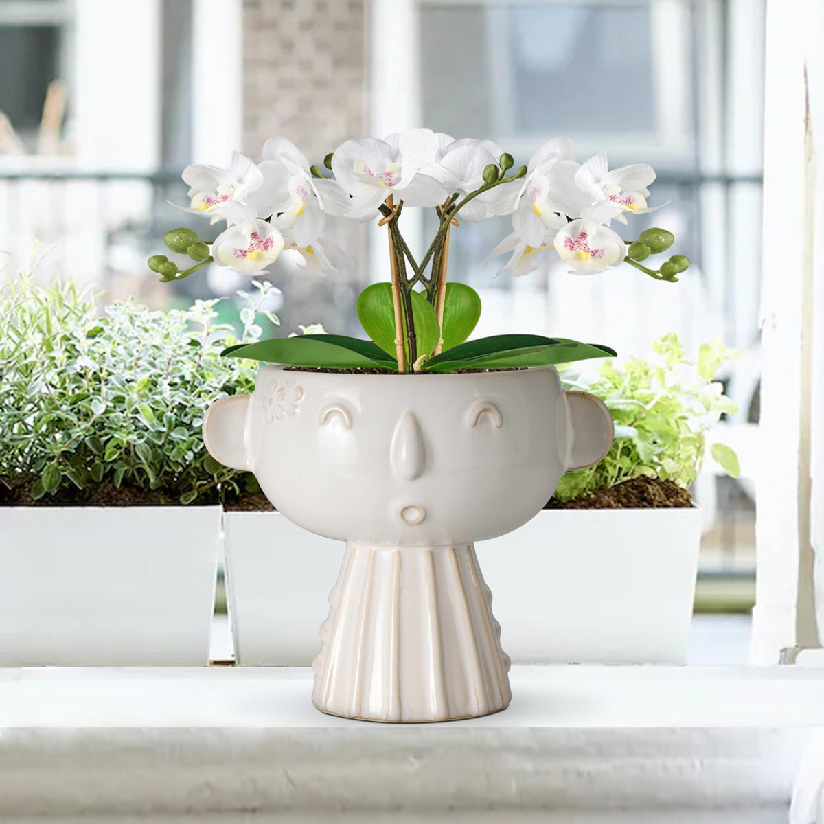 Fivepot face planter packaging shows contents and dimensions for easy setup.