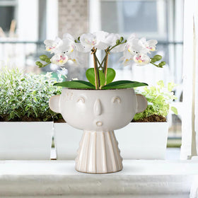 Fivepot face planter packaging shows contents and dimensions for easy setup.