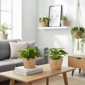 Fiwochic baskets for flowers and herbs on balcony or patio.