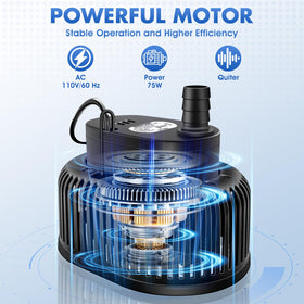 FizZeal auto shutoff protects the pump when low water.