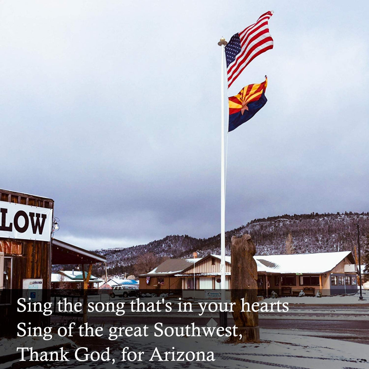 FLAGBURG Arizona flag made with recyclable nylon fabric