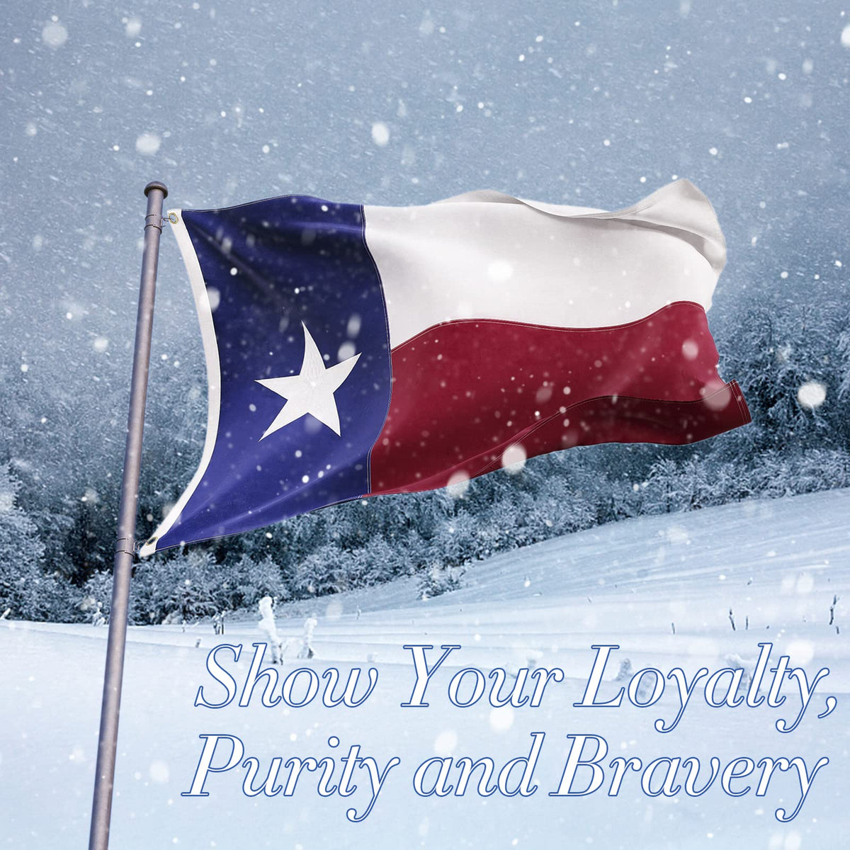 FLAGBURG Texas flag 5x8 foot size displayed outdoors on a flagpole