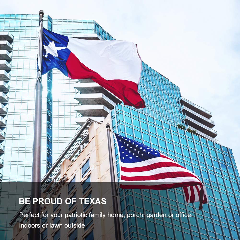 FLAGBURG Texas flag billowing outdoors in wind and sun