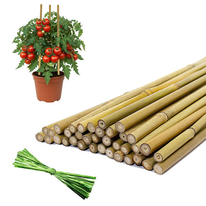 FlaggeZG 36pc bamboo stake set for sturdy garden supports and easy planting