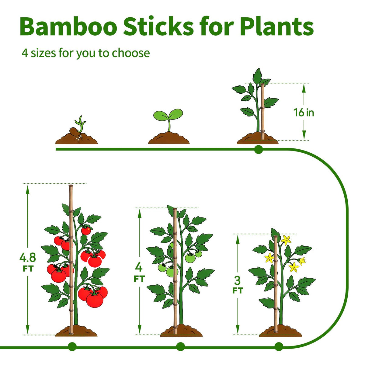 FlaggeZG bamboo stake 16-inch close-up for reliable indoor and outdoor plant support