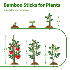 FlaggeZG indoor and outdoor stakes provide reliable plant support.