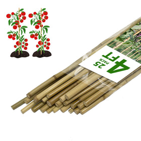 FlaggeZG plant stakes 25-pack 4ft bamboo supporting indoor and outdoor plants.