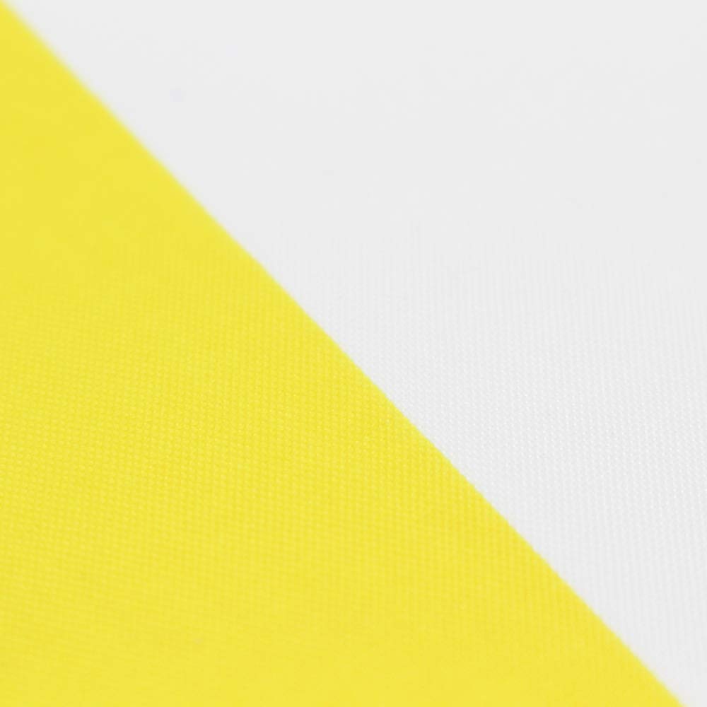 Flaglink Nonbinary Pride Flag with sturdy header and brass grommets