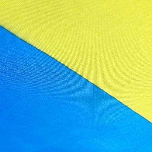 FLAGLINK Pansexual Flag header features brass grommets for secure mounting.