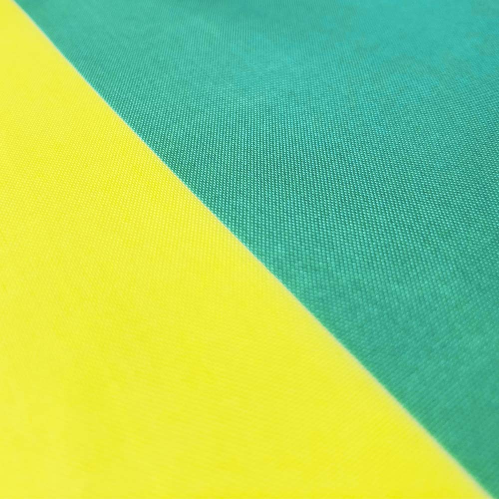 Flaglink rainbow flag banner 3x5ft for events and windows