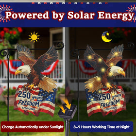 Flagmesage eagle and stars commemorative design close-up.