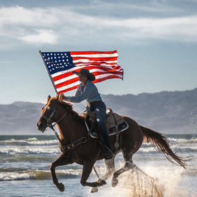 Flagolden flag featuring rust-free brass grommets for durable mounting.