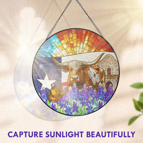 FLAGWIX indoor sun catcher adds color to any space