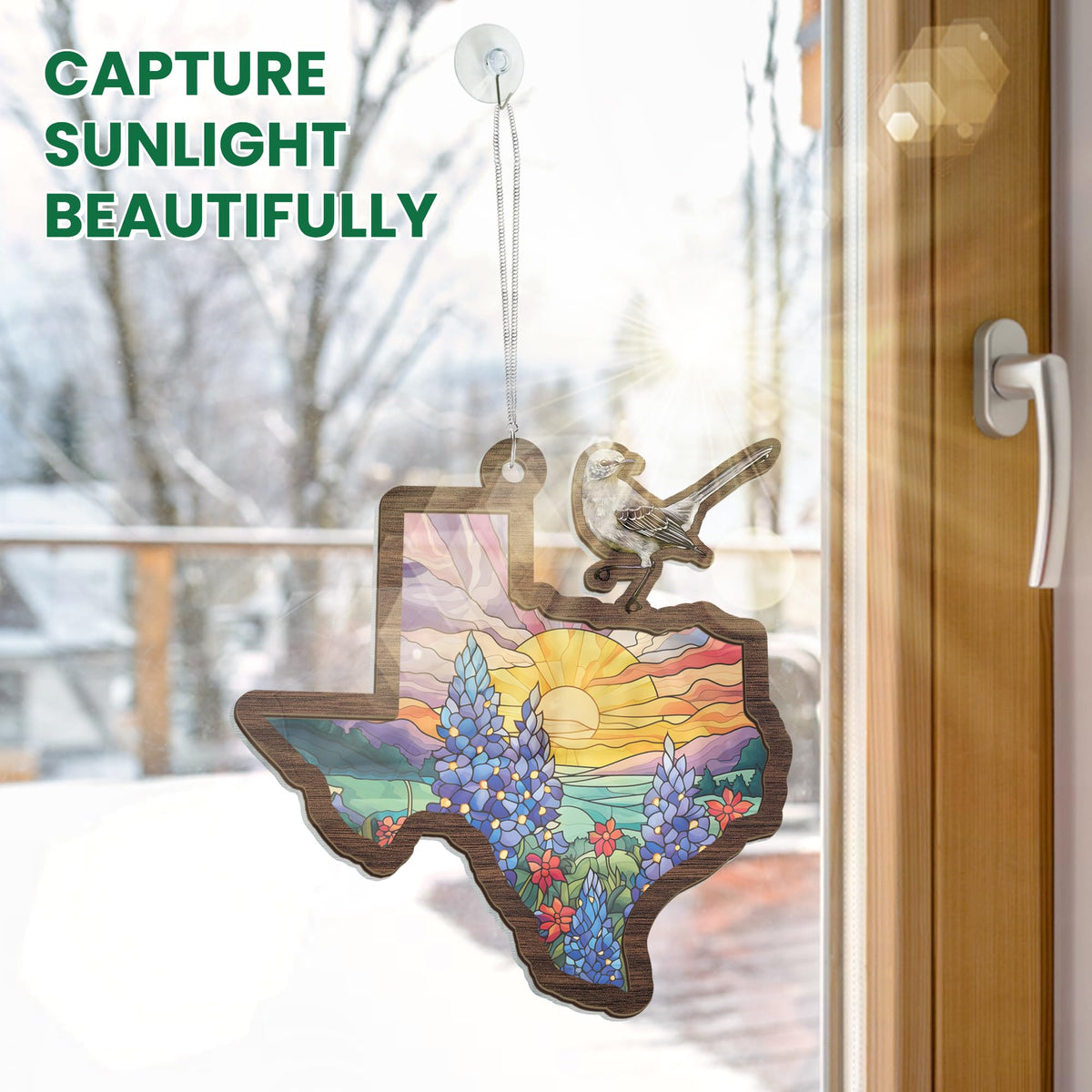 FLAGWIX Texas suncatcher complements living room decor with warm glow