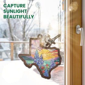FLAGWIX Texas suncatcher complements living room decor with warm glow