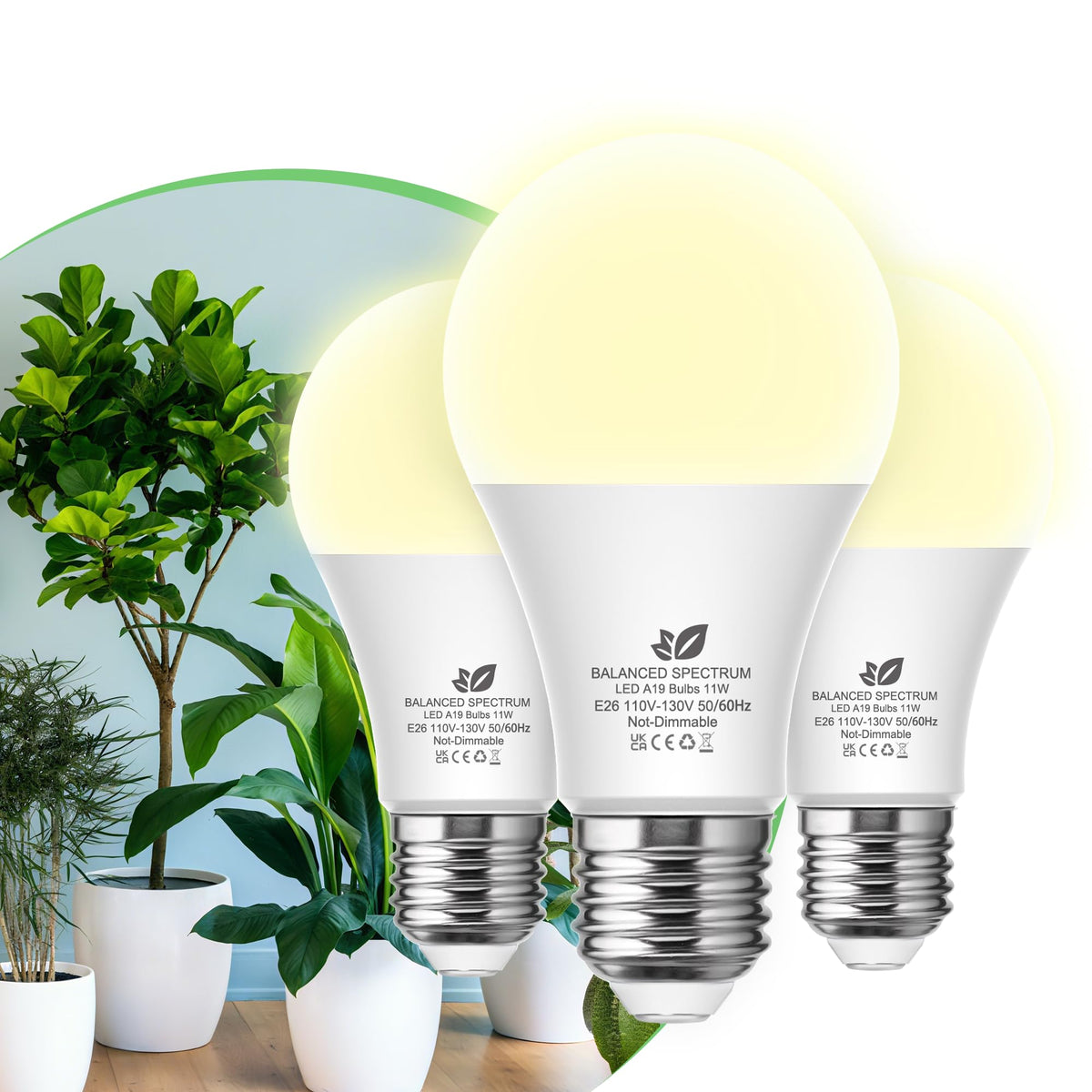 Flaspar A19 LED grow light bulb compact design suitable for shelves