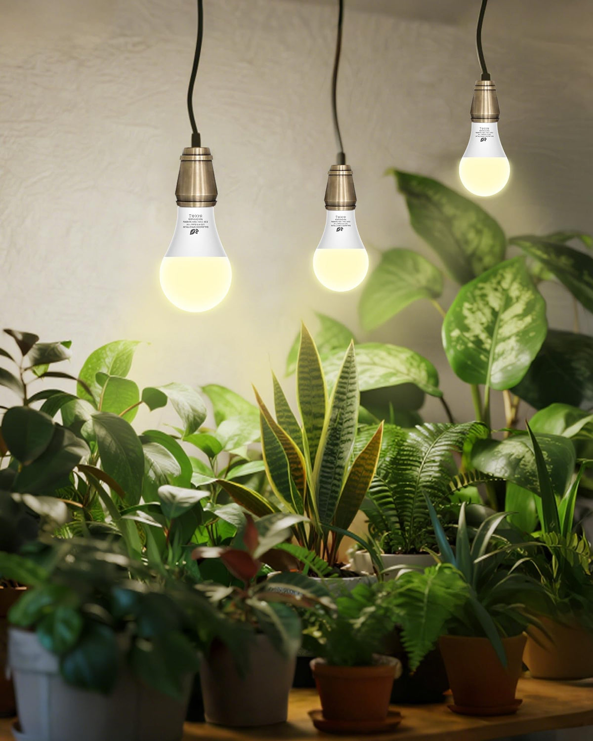 Flaspar A19 LED grow light bulb demonstrating bright, even output