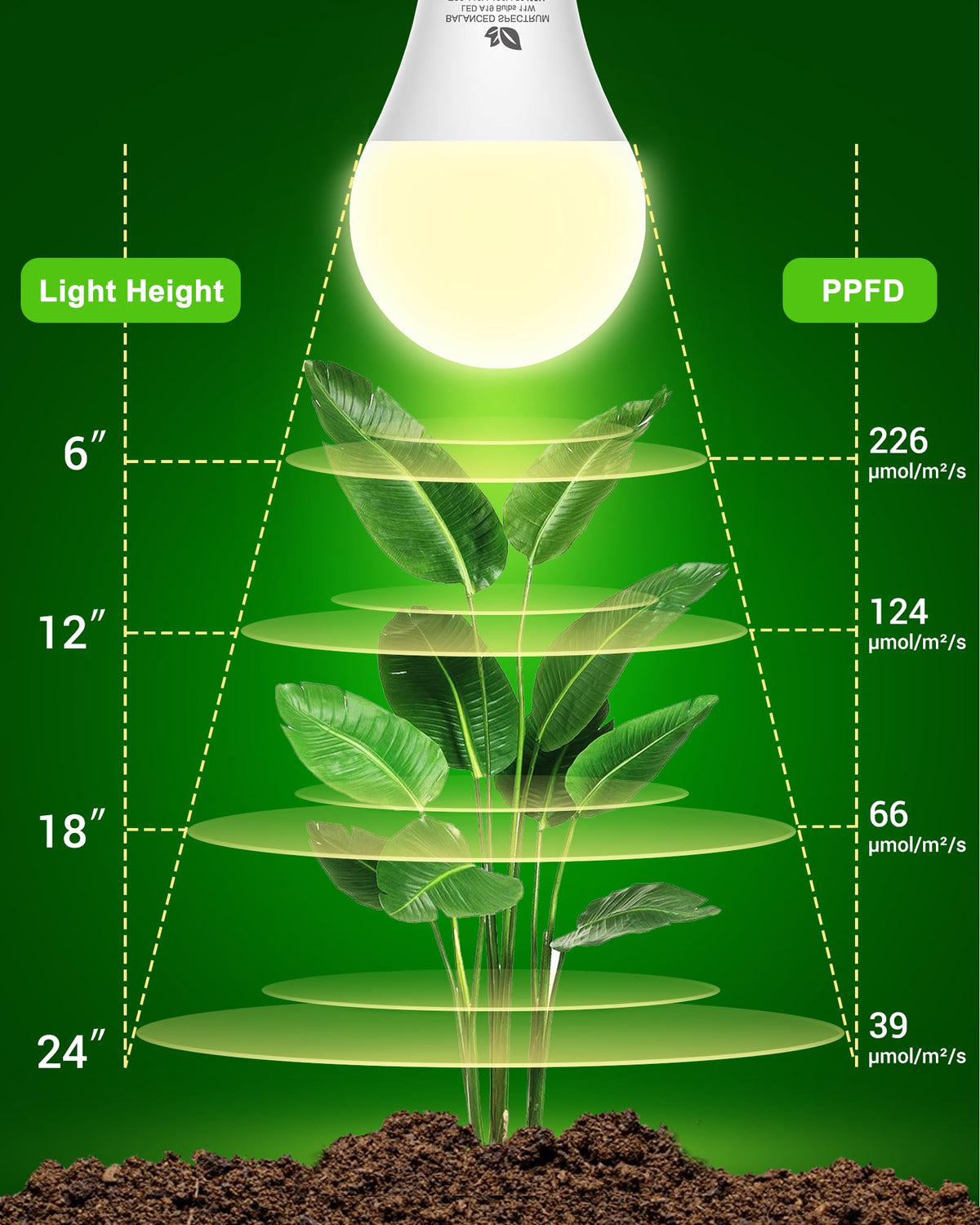 Flaspar A19 LED grow light bulb installed in a lamp for indoor use