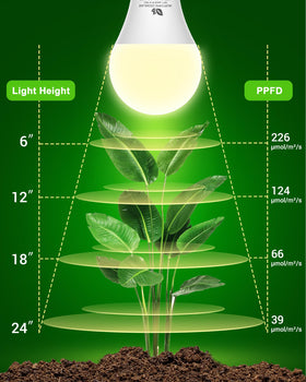 Flaspar A19 LED grow light bulb installed in a lamp for indoor use