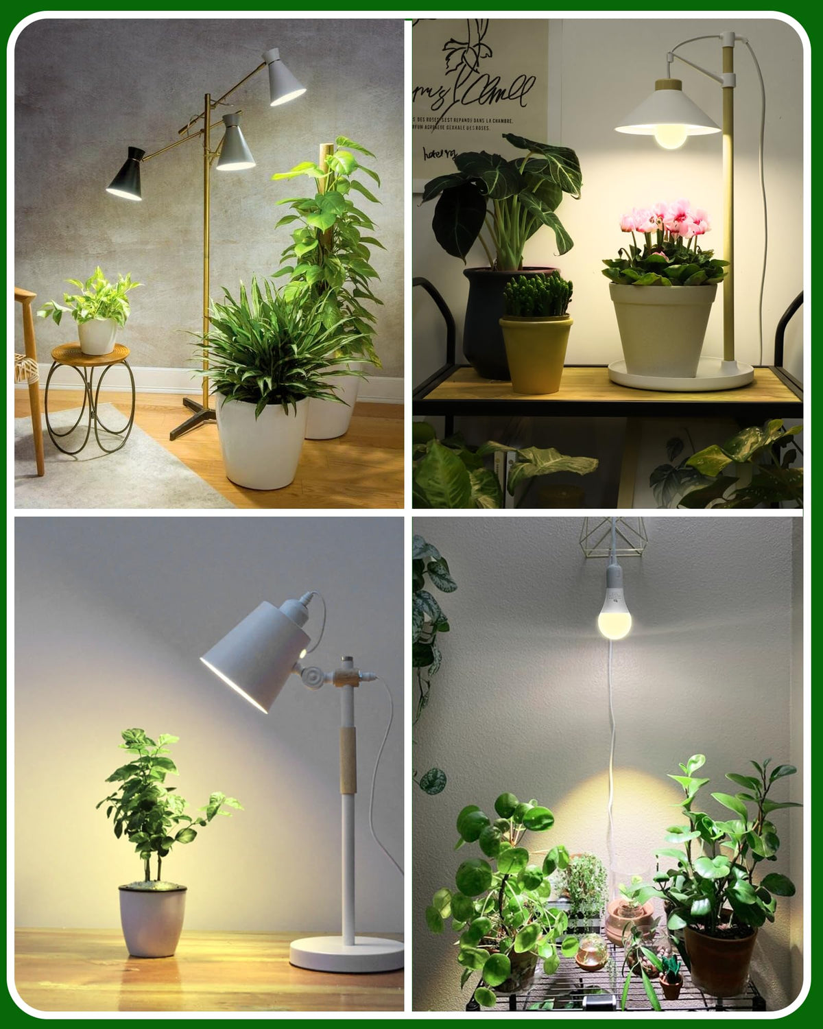 Flaspar A19 LED grow light bulb over an indoor garden scene