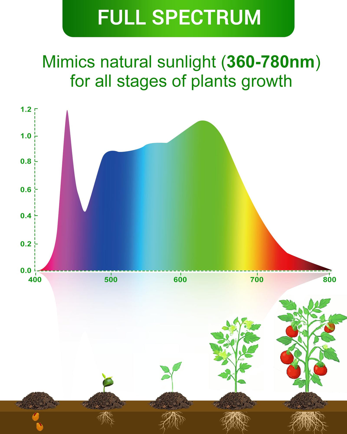Flaspar A19 LED grow light bulb aiding seedling growth indoors