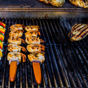 Backyard BBQ scene with FlavrQ for flavorful grilling sessions.