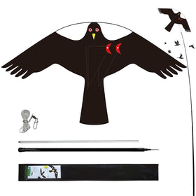 Flerigh bird hawk kite in flight deters crop birds on farms.