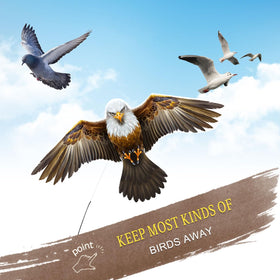 Flerigh eagle kite with durable construction for outdoor use