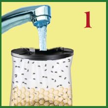 Flies Be Gone fly trap designed for disposable, maintenance-free use