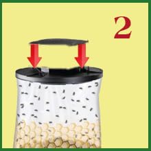 Flies Be Gone fly trap uses protein attractant for flies