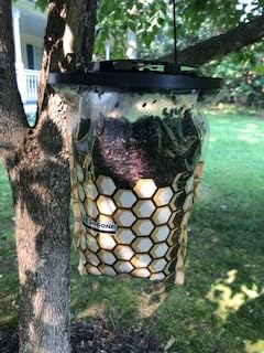 Flies Be Gone fly trap hanging on patio for pest reduction