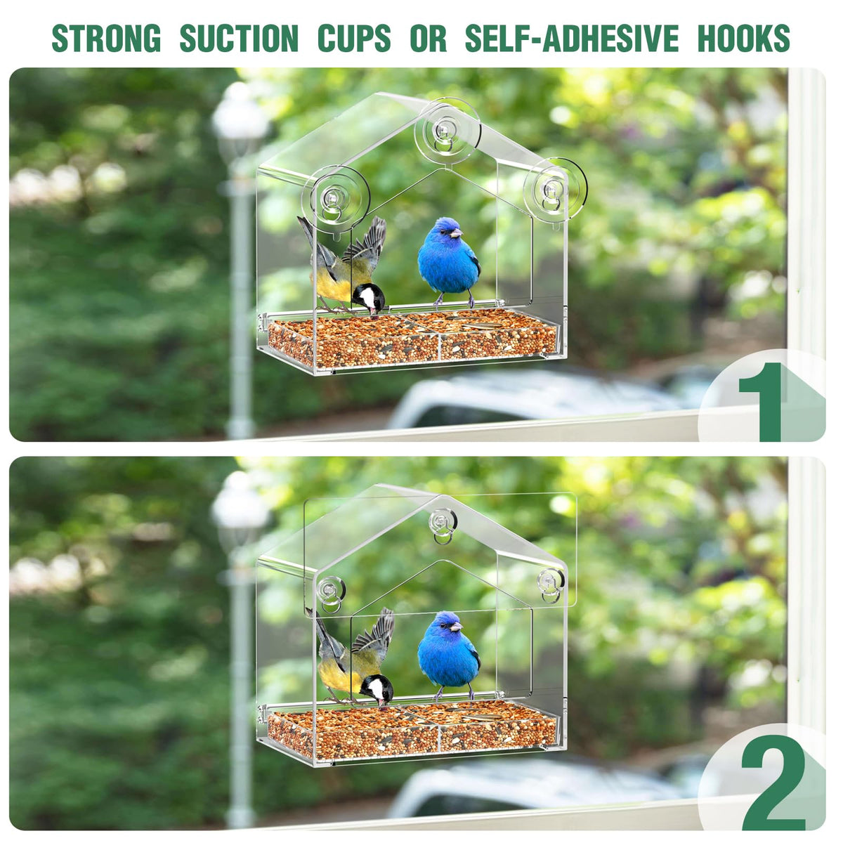FLINTER Window Bird Feeder features a drainable tray to keep seeds dry